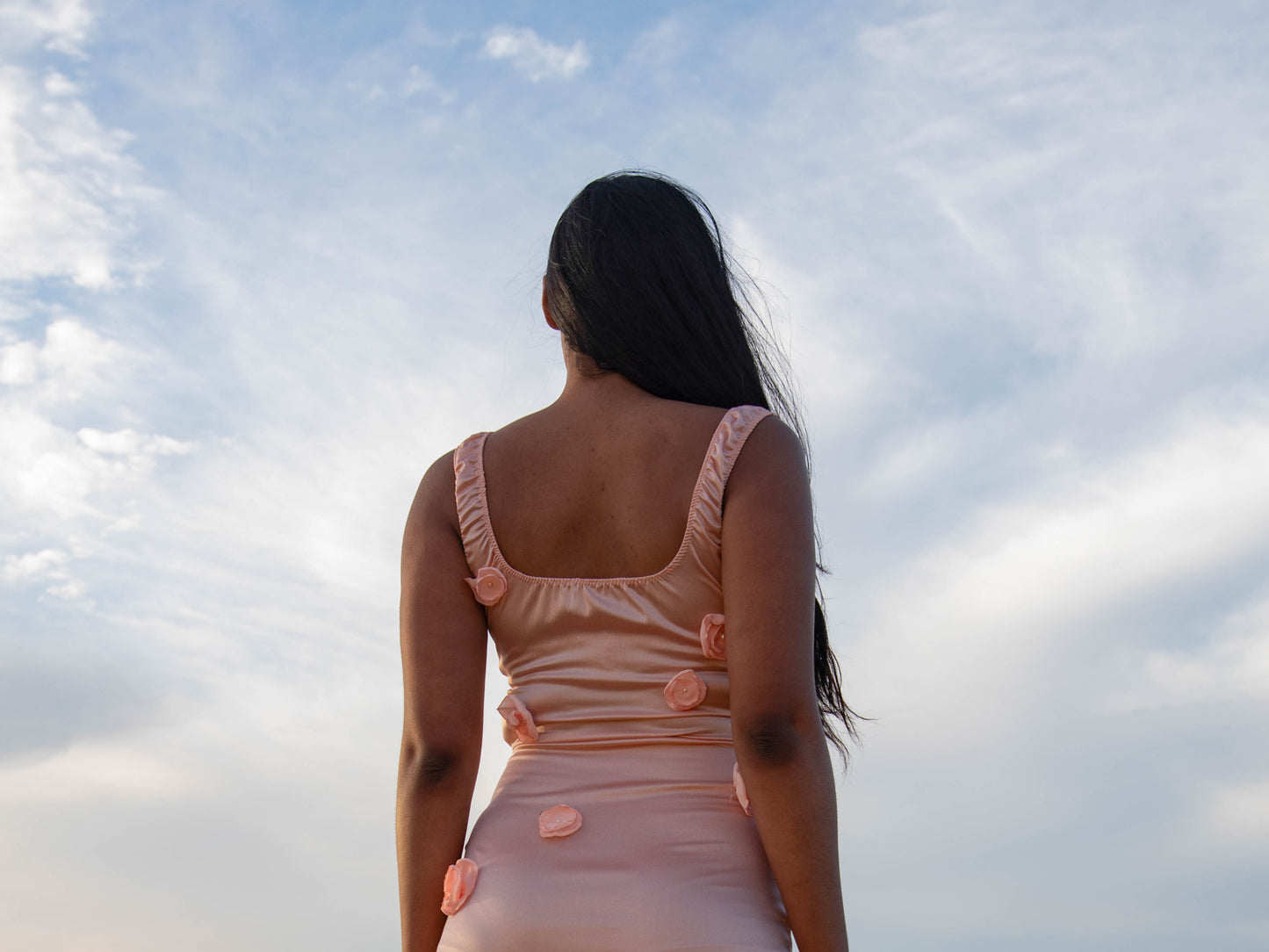 Pink Rose Dress