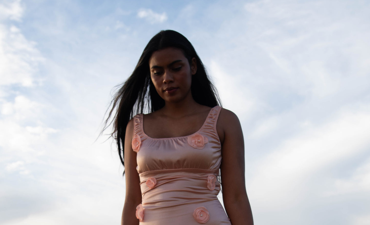 Pink Rose Dress