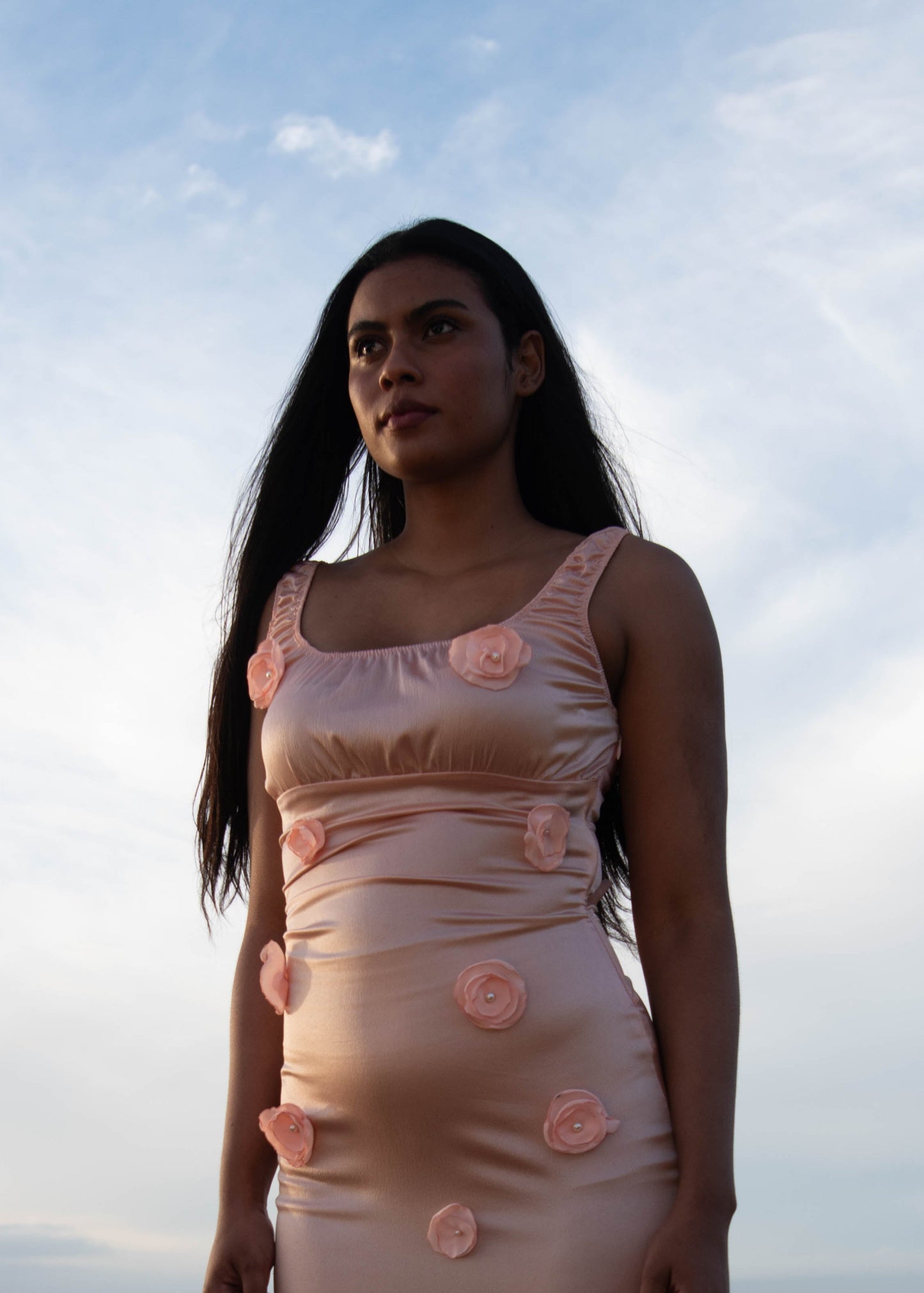 Pink Rose Dress